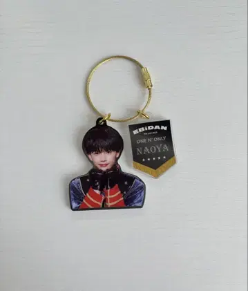 EBiDAN 에비라이 랜덤 아크릴 키링 아크링 NAOYA