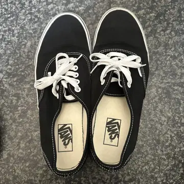 vans Authentic