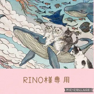 동화 속 나라의 고양이와 친구들 오더