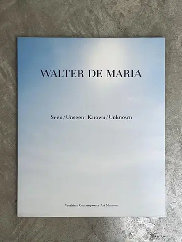 WALTER DE MARIA