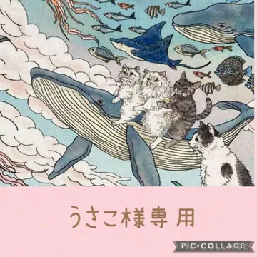 동화 속 나라의 고양이와 친구들 오더