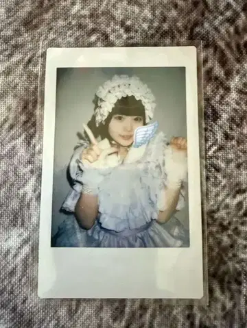 iLiFE! 무지개 깃털 미니 수국 폴라로이드
