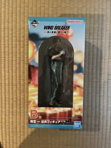 WIND BREAKER 제일복권 B상 우메미야 하지메