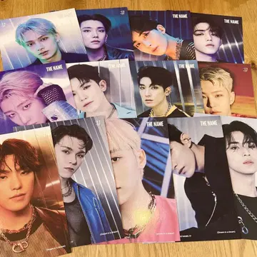SEVENTEEN THE NAME :17 세븐틴 포토 카드 정한