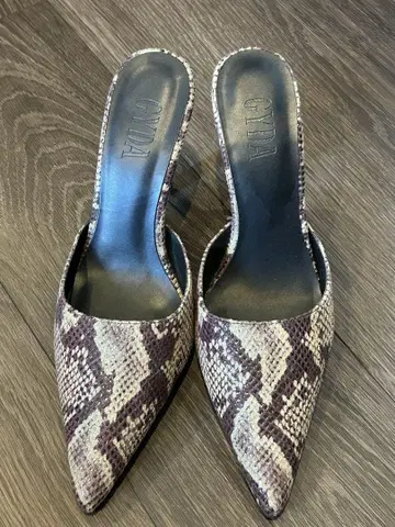 GYDA Python 포인티드 뮬