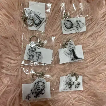 BUMP OF CHICKEN 아크릴 키링 6개 세트