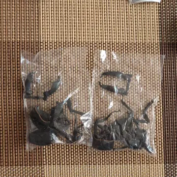 오오히라타사슴벌레 가챠