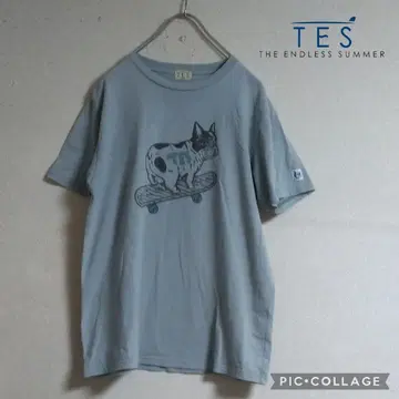 TES T셔츠 부히 엔드리스 써머
