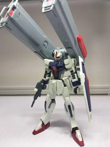 HGCE 대거 L+ 확장