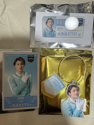 EBiDAN 에비라이 아크릴 키링 ICEx 아이스 센다 하쿠토