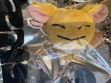 Stray Kids POPUP 멘프로 아이엔 백참