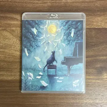 요루시카/LIVE [달과 고양이의 댄스]