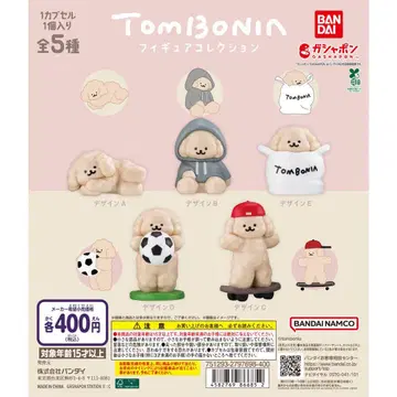 tombonia 피규어 컬렉션 전5종 컴플리트