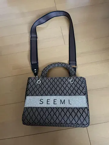 SEEMI 비즈니스 백