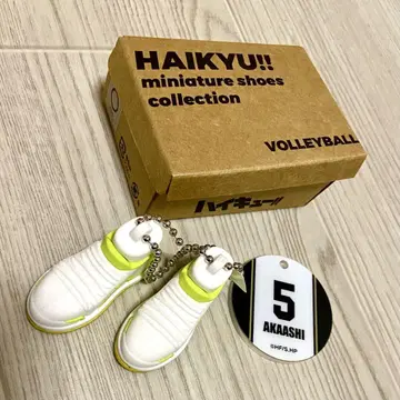 하이큐 미니어처 슈즈 컬렉션 아카아시 케이지