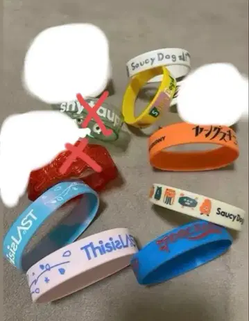 러버 밴드 SaucyDog 마카로니 연필 샤이 토프 ThisisLAST