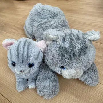고양이 봉제 인형