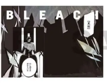 BLEACH 메탈릭 포스터 컬렉션 아이젠 소스케 흑관