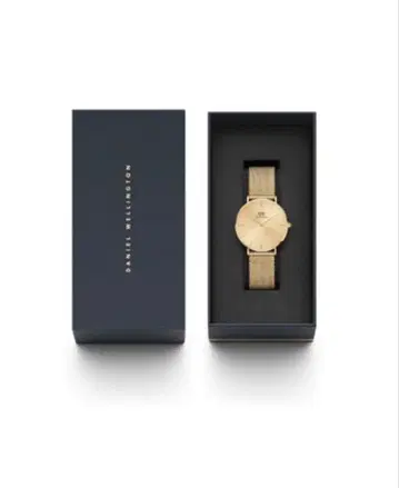 Daniel Wellington 골드 메쉬 손목시계
