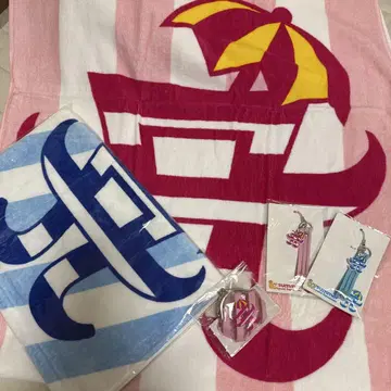 하마사키 아유미 summer 굿즈 점보 타월 스포츠 타월 외 굿즈 세트