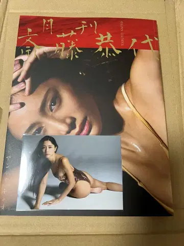 월간 사이토 야스요 (사인 포함) 브로마이드 포함