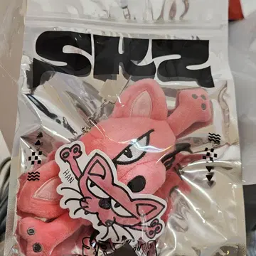Stray Kids 한 popup 멘프로 백참
