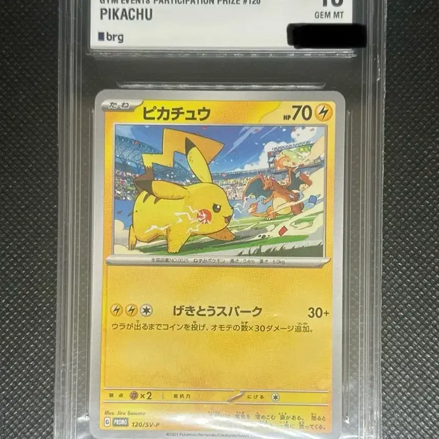 포켓몬 피카츄vs리자몽 짐프로모 이벤트프로모 BRG10 (psa10)