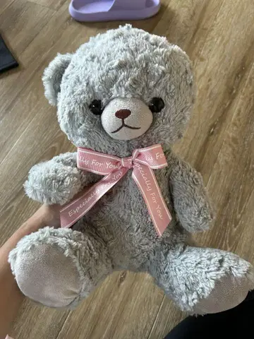 그레이 곰돌이 봉제 인형