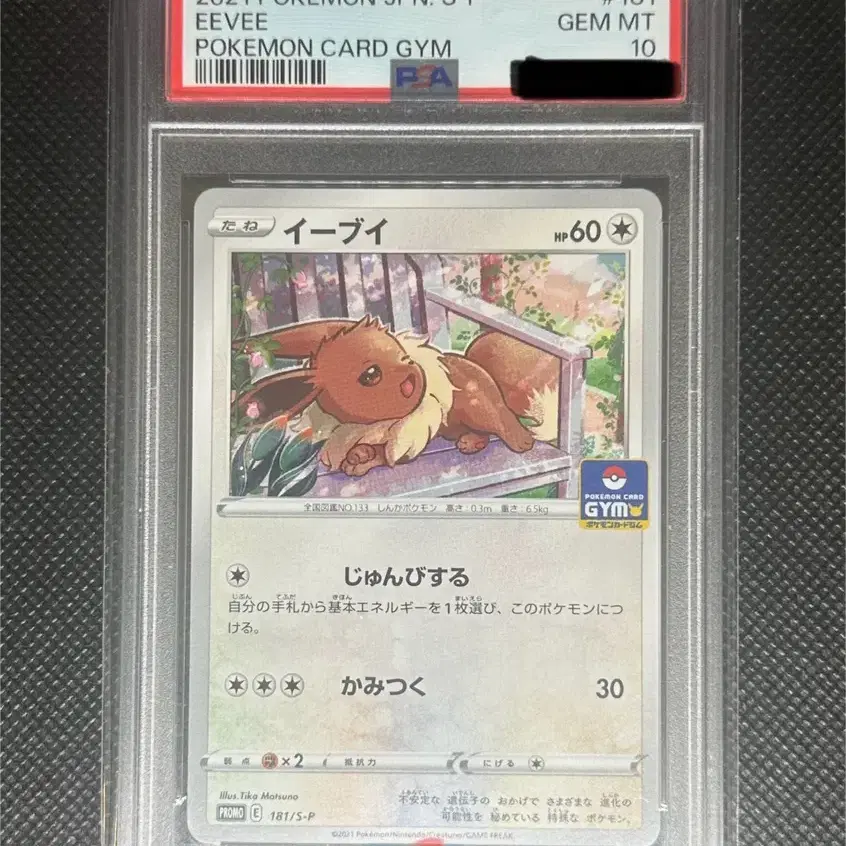포켓몬 이브이 짐프로모 psa10