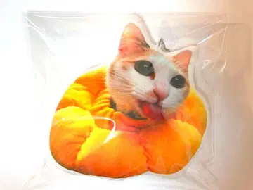 마츠오카 미츠루 굿즈