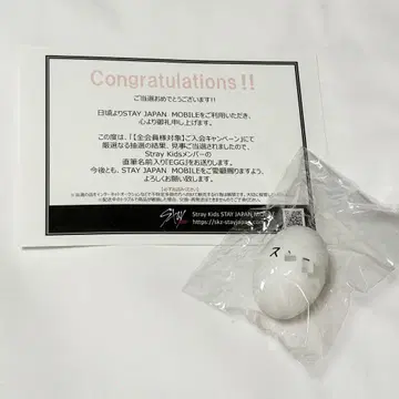 스트레이키즈 스키즈 선민 친필 사인 에그 egg EGG