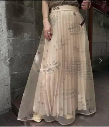 AMERI HOROSCOPE SHEER PLEATS SKIRT
