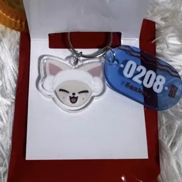 JYP JAPAN POPUP SKZ SAUNA 키링 아이엔