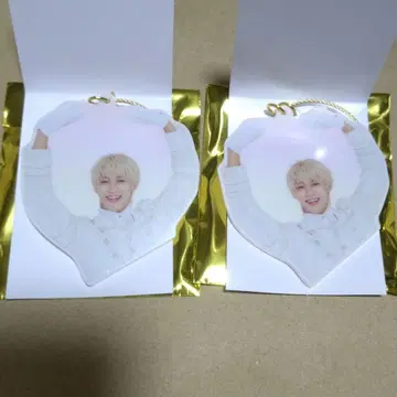 에비라이 M!LK 소노 슌타 아크링 키링