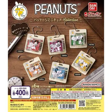 컴프 PEANUTS 패키지 미니어처 컬렉션 스누피