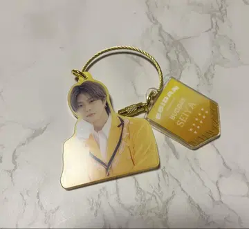 에비라이 BUDDiiS SEIYA 아크키