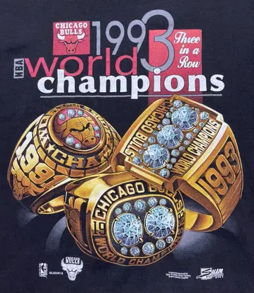 Chicago Bulls 1993 NBA Champions T-Shirt