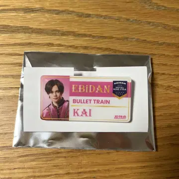 초특급 카이 아크릴 키링 에비라이