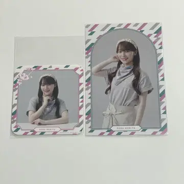 사쿠라사카 카페  모리야 레이나  포스트카드  코스터