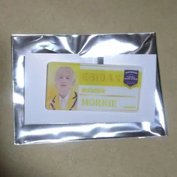 에비라이 BUDDiiS MORRIE