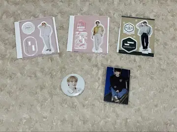 세븐틴 우지 세트