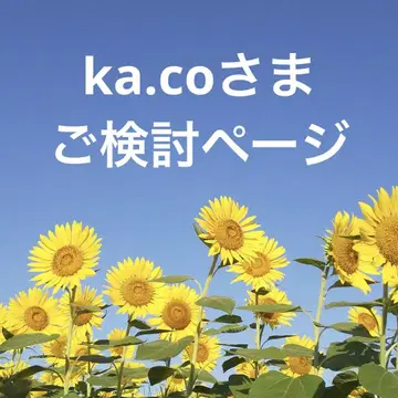 ka.co님 검토 페이지