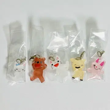 논탄 기념 액세서리 전 5종 완전 세트