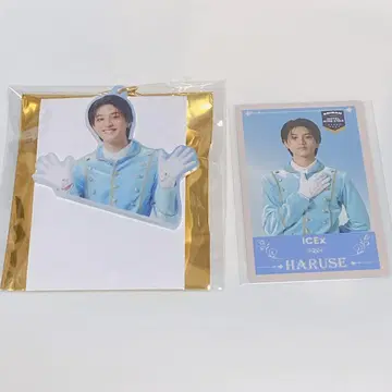 에비라이 아크릴 키링 인비테이션 카드 ICEx 아쿠네 온세