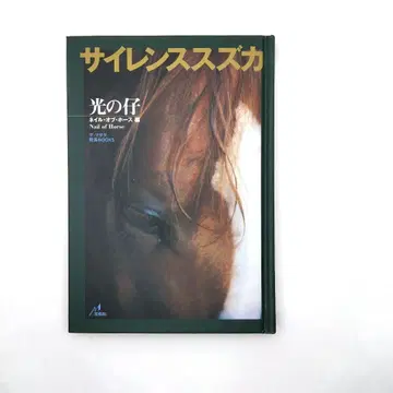 빛의 새끼, 실렌스 스즈카