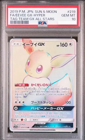 PSA 10 이브이 GX HR 태그팀 포켓몬 카드