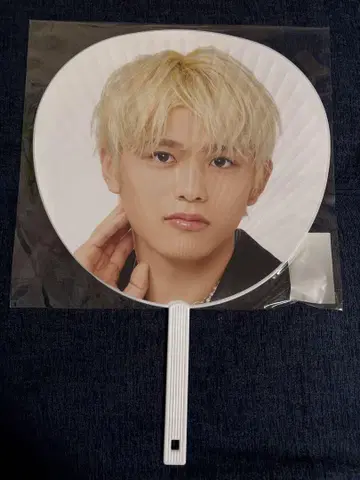 시노즈카 다이키 점보 부채