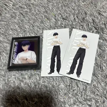 괴수 8호 베이스 야드 도쿄 호시나 소우시로