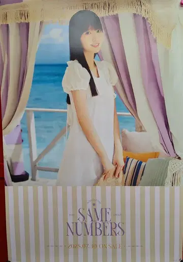 노기산 46 같은 번호 해변 주리 특별 제작 B2 솔로 포스터