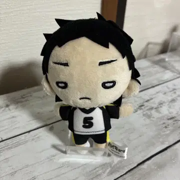 하이큐 아카아시 키요지 니토탄